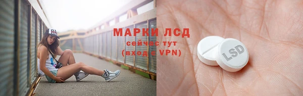 ГАЛЛЮЦИНОГЕННЫЕ ГРИБЫ Алексин